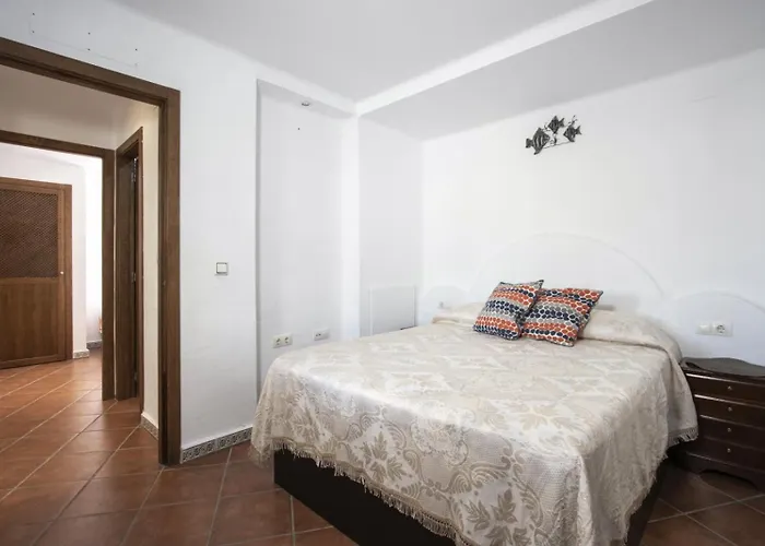 Cenuela Id29 *